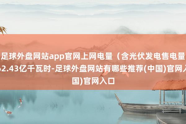 足球外盘网站app官网上网电量（含光伏发电售电量）62.43亿千瓦时-足球外盘网站有哪些推荐(中国)官网入口