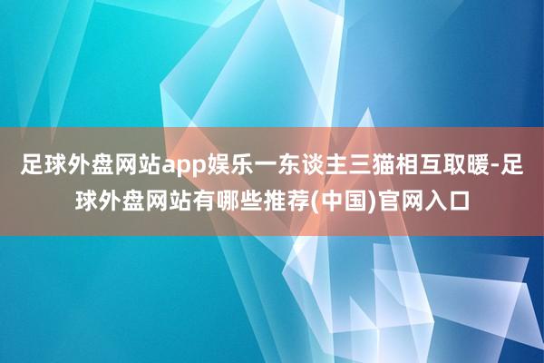 足球外盘网站app娱乐一东谈主三猫相互取暖-足球外盘网站有哪些推荐(中国)官网入口