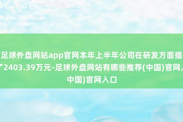 足球外盘网站app官网本年上半年公司在研发方面插足了2403.39万元-足球外盘网站有哪些推荐(中国)官网入口